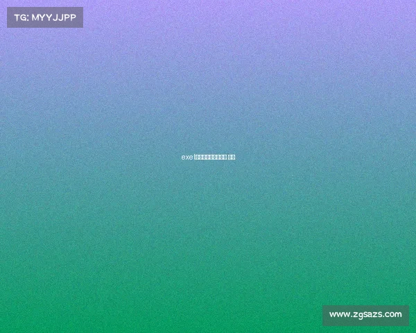 exel电子竞技、电子竞技 项目 exel电子竞技、电子竞技 项目